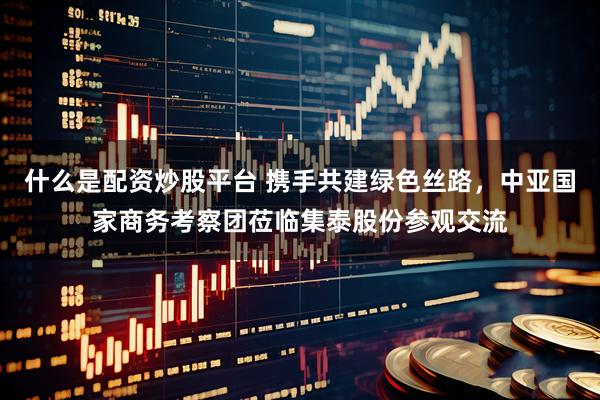 什么是配资炒股平台 携手共建绿色丝路，中亚国家商务考察团莅临集泰股份参观交流