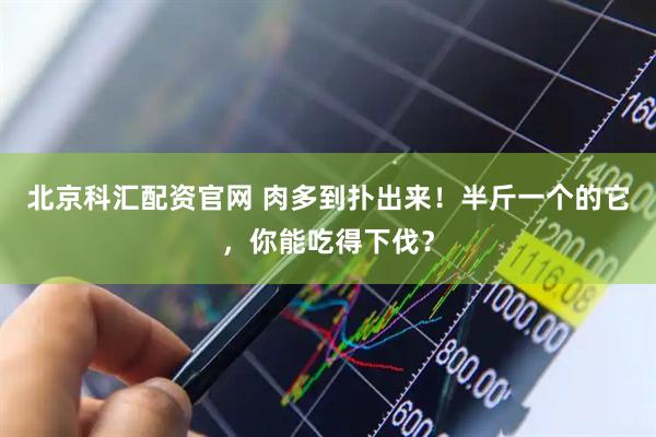 北京科汇配资官网 肉多到扑出来！半斤一个的它，你能吃得下伐？