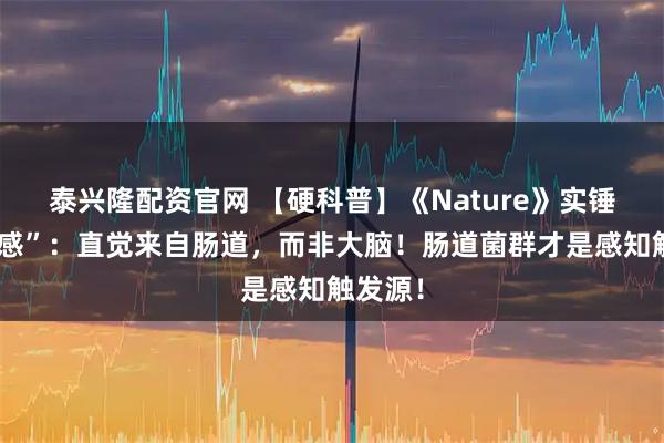 泰兴隆配资官网 【硬科普】《Nature》实锤“第六感”：直觉来自肠道，而非大脑！肠道菌群才是感知触发源！
